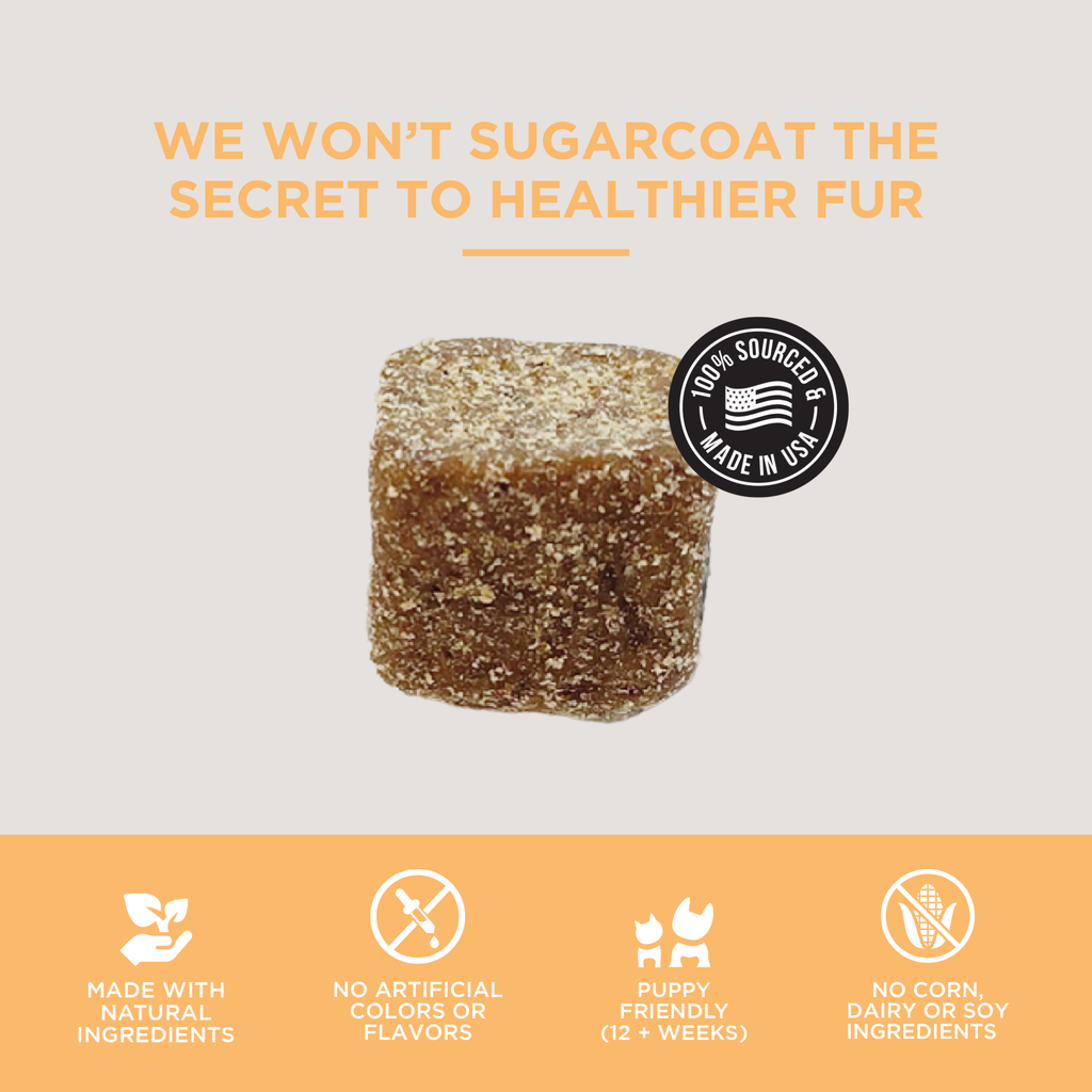 The Only Skin & Coat Soft Chews Dogs Need: 120 count jar