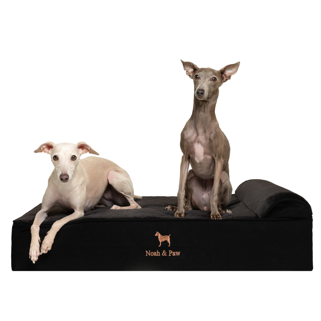 Noah & Paw Classic Orthopedic Bed | Black Denim | Medium