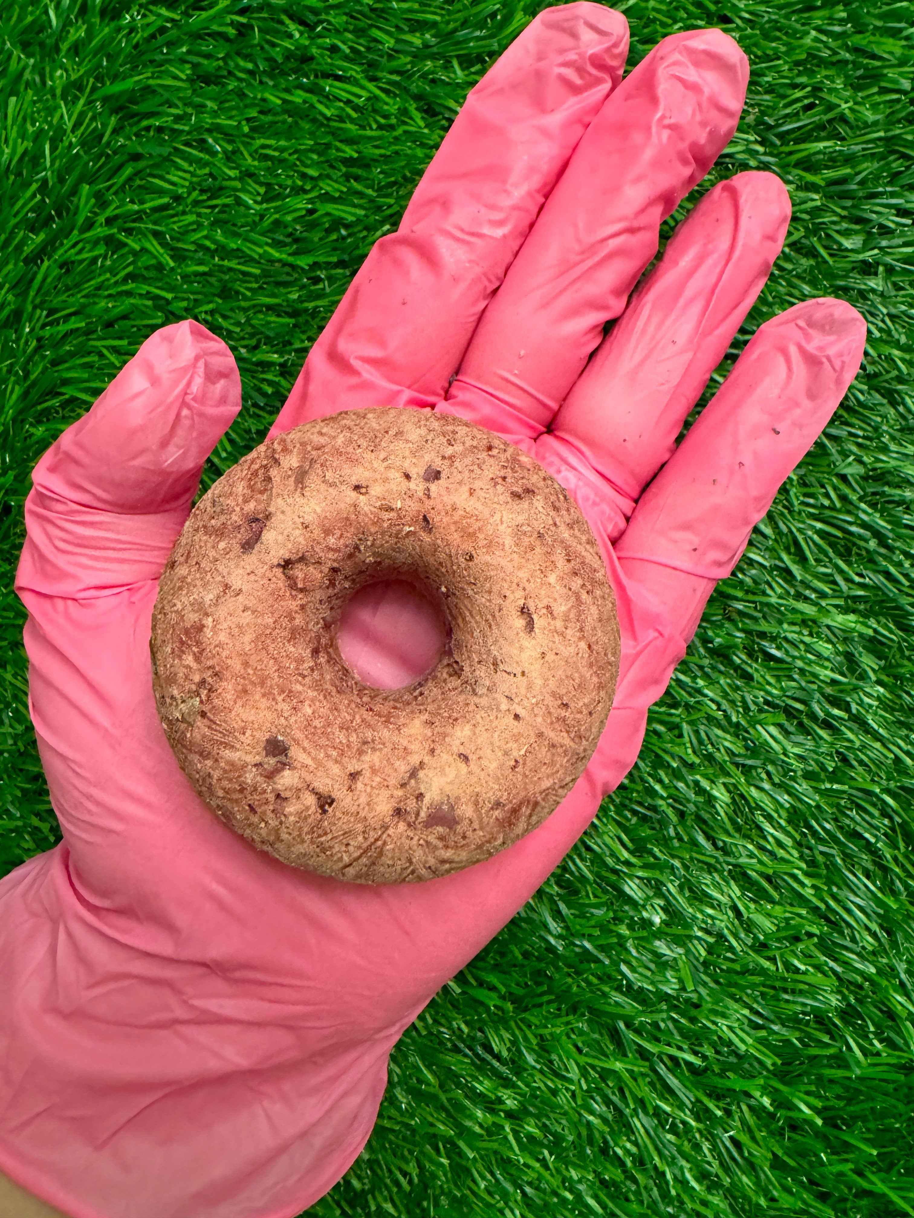 Donut - Turkey & Cran - Freeze-Dried Treat for Dogs & Cats: Bagged/Sealed Donut