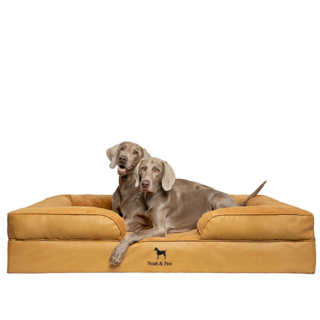Noah & Paw Orthopedic Sofa Bed | Camel | Medium