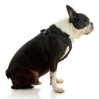 Comfort X Step-In Lite Harness | Pink | Large