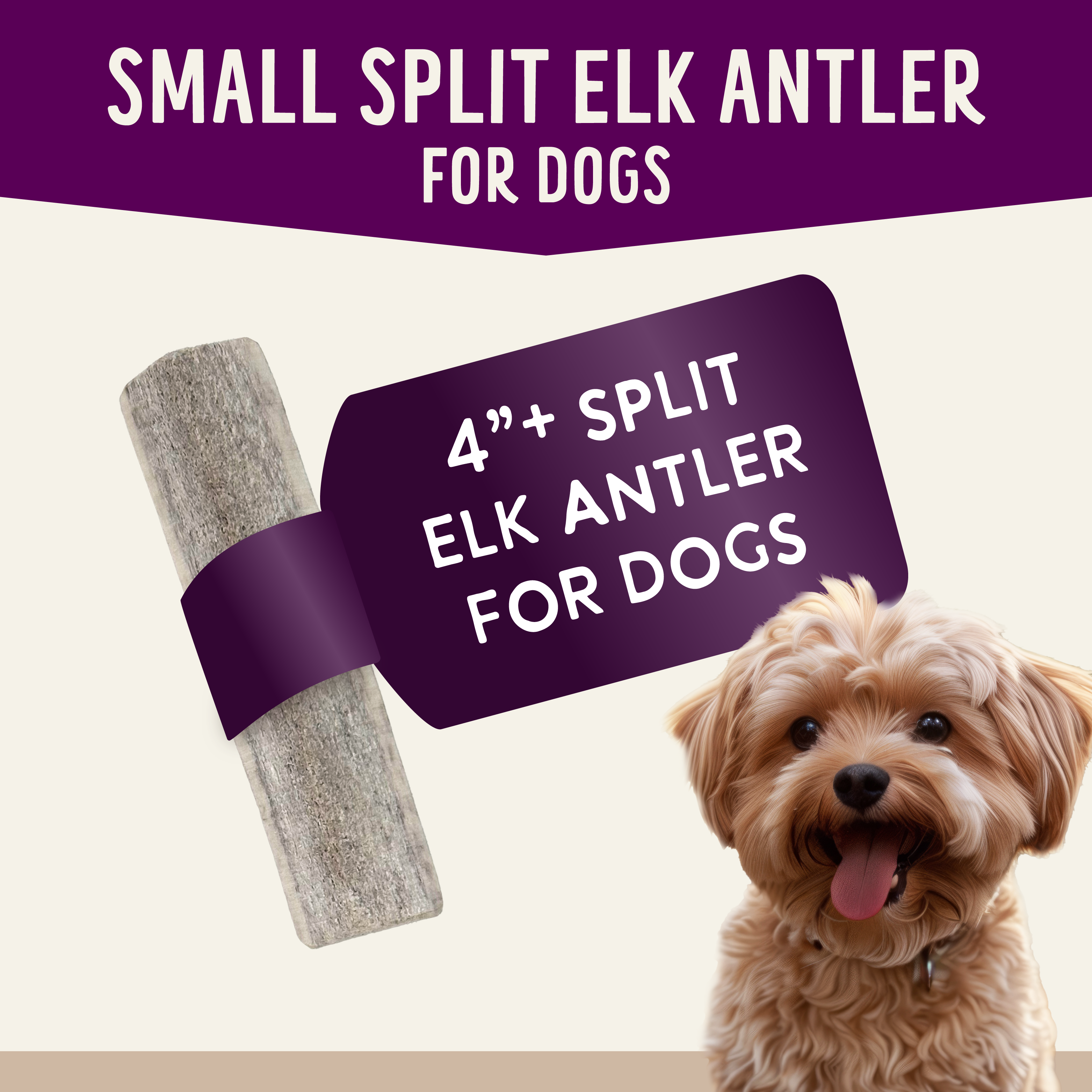 Natural Elk Antlers - Whole: Small Whole