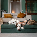 Faux Leather Orthopedic Pet Bed, Cooling Gel Foam, Sofa: Black / M [28*23*11]