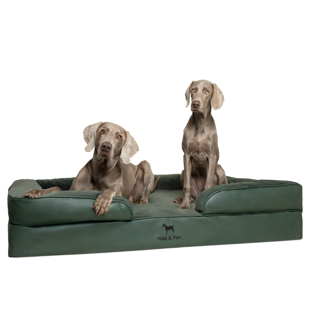Noah & Paw Orthopedic Sofa Bed | Dark Green | Medium