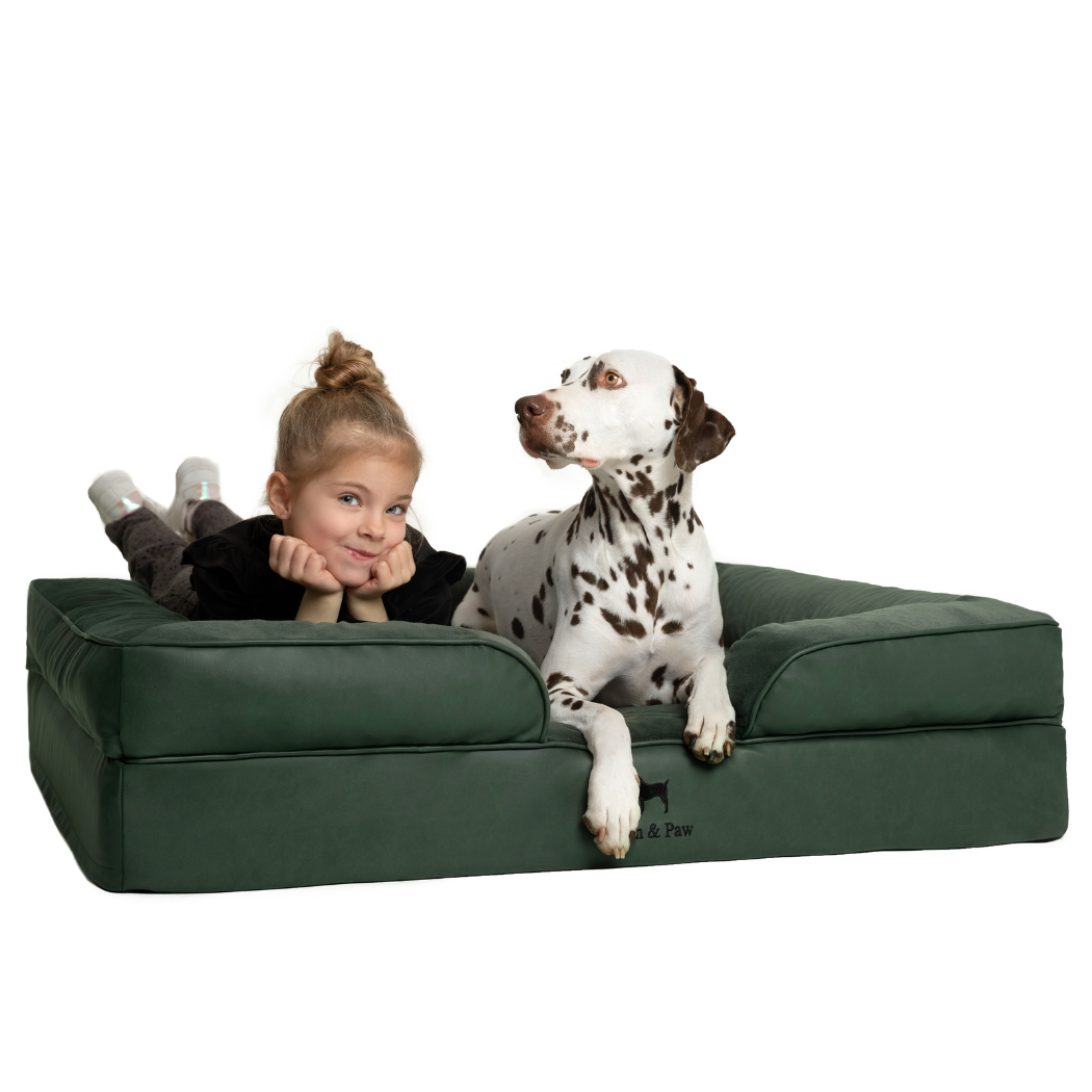 Noah & Paw Orthopedic Sofa Bed | Dark Green | Medium