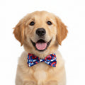 American Tie Dye Bow Tie | Small