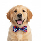 American Tie Dye Bow Tie | Small
