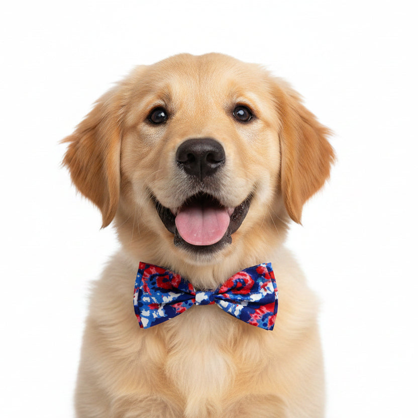 American Tie Dye Bow Tie | Small