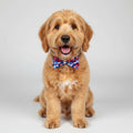 American Tie Dye Bow Tie | Medium