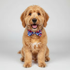 American Tie Dye Bow Tie | Medium